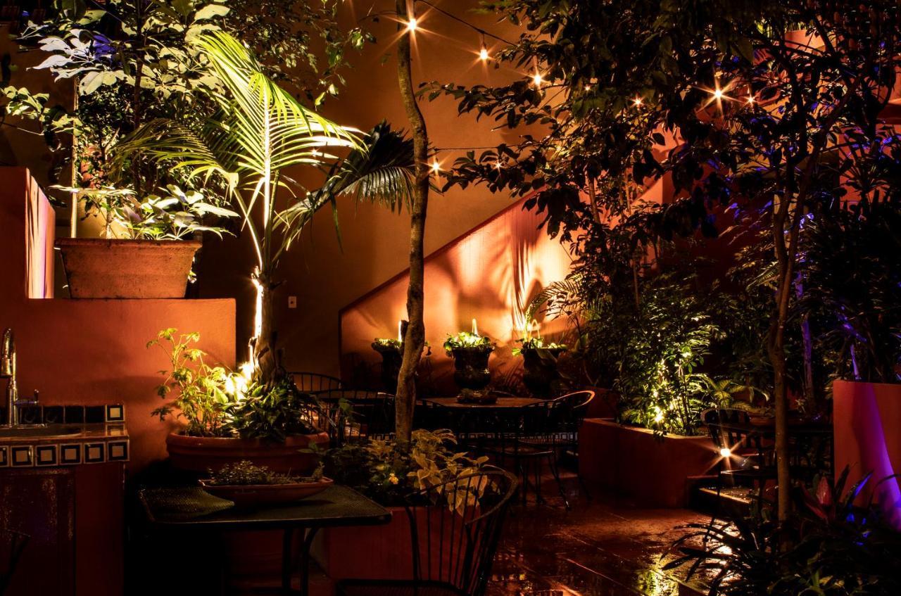 The Red Tree House Bed and Breakfast Mexico-stad Buitenkant foto