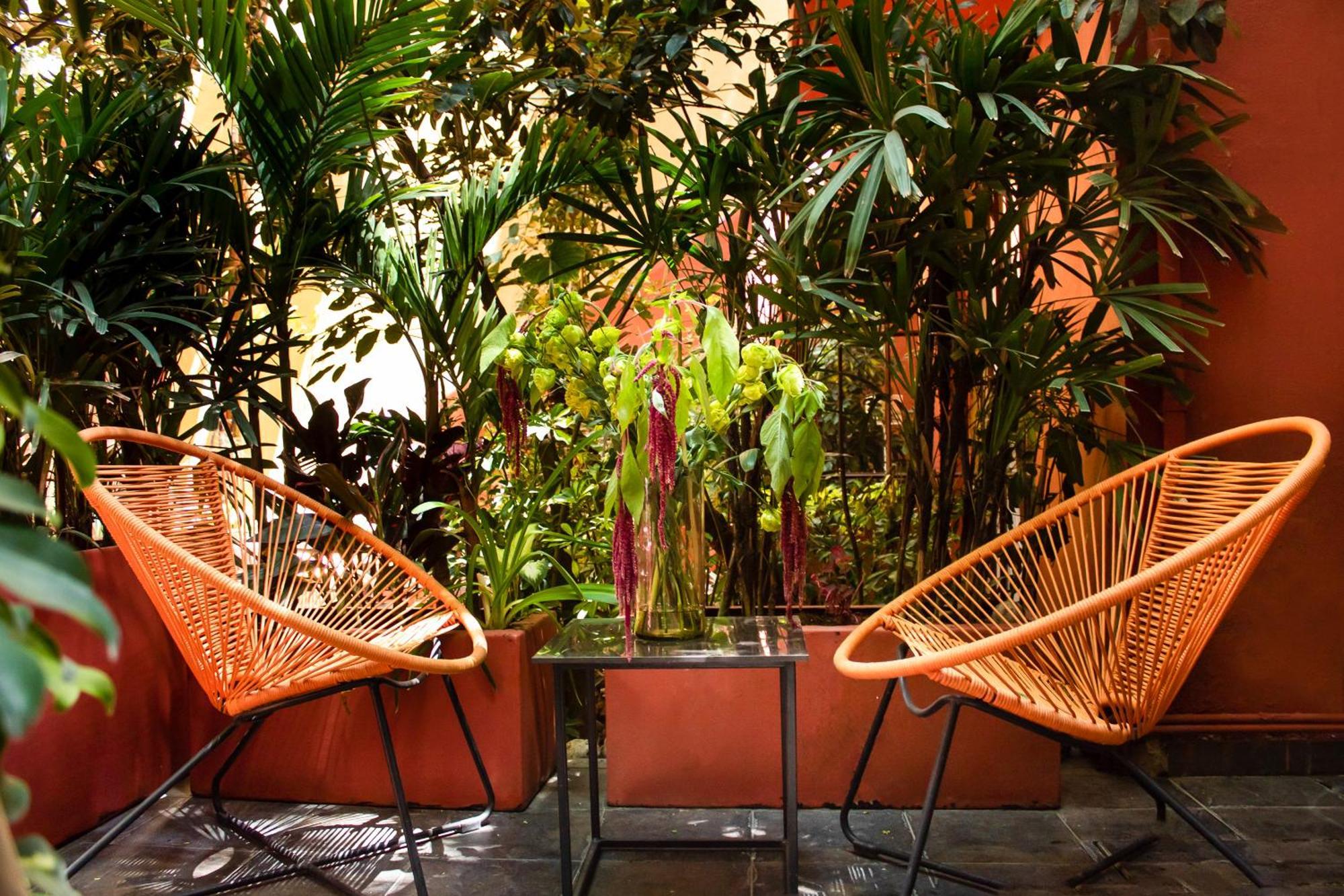 The Red Tree House Bed and Breakfast Mexico-stad Kamer foto